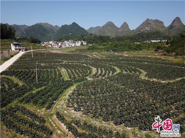 中国十大娱乐赌博城网址